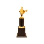 Trophy for cricket, trophy for winner, trophy for kids, Trophy for students, appreciation award memento