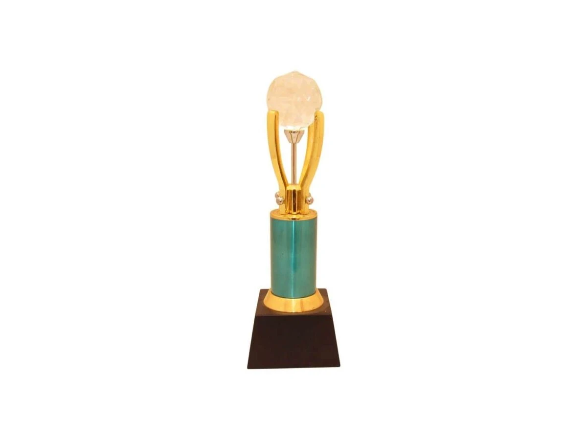 Trophy for cricket, trophy for winner, trophy for kids, Trophy for students, appreciation award memento