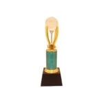 Trophy for cricket, trophy for winner, trophy for kids, Trophy for students, appreciation award memento