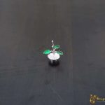 Pure silver Tulsi plant, silver tulsi kyaro, silver tulsi plant, pure silver tulsi plant return gifts, silver tulsi leaf, pure silver pooja items, pure silver gift items, pure silver gift items for marriage, pure silver gift items for housewarming, pure silver gift articles